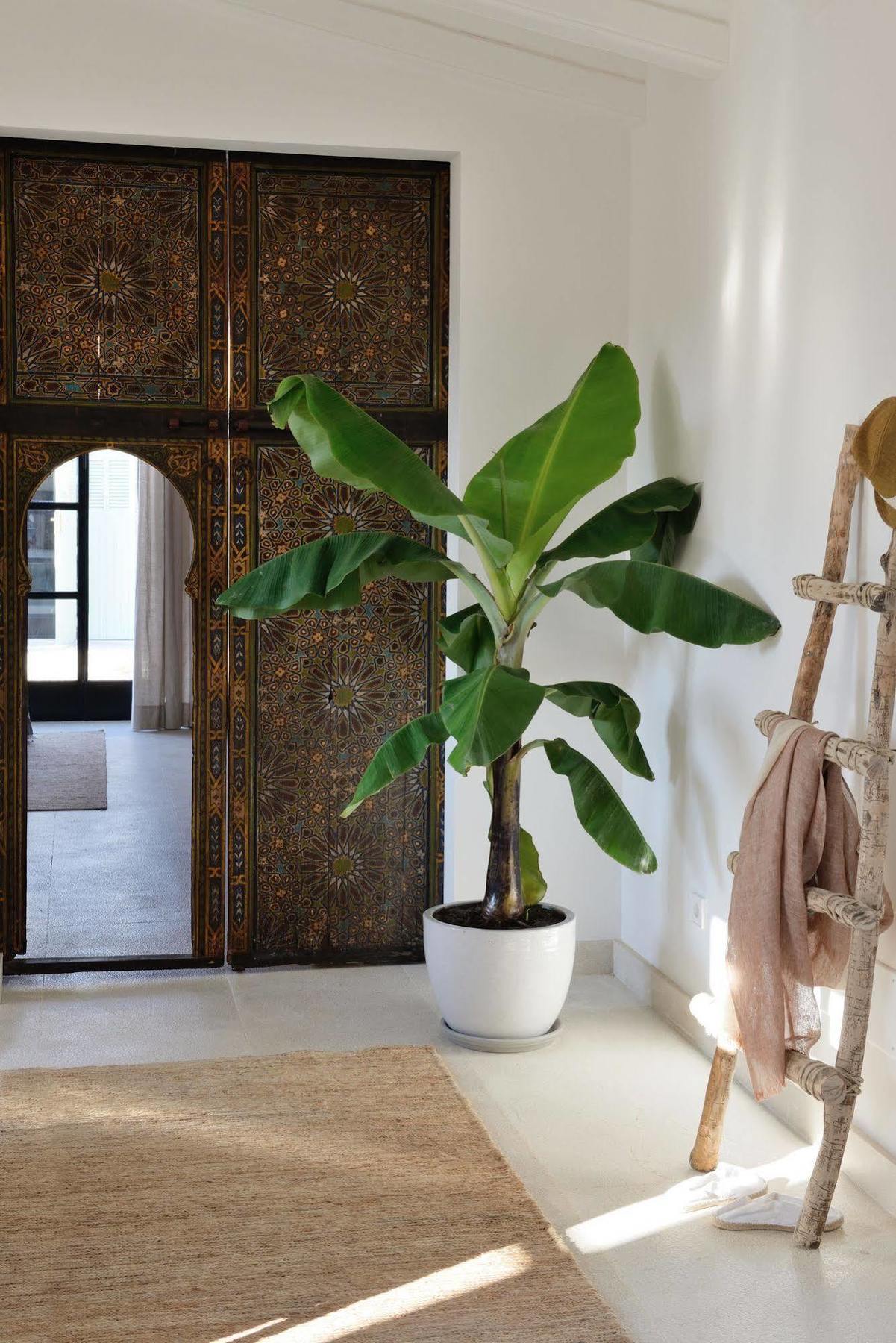 Cal Reiet Holistic Retreat Otel Santanyí Dış mekan fotoğraf